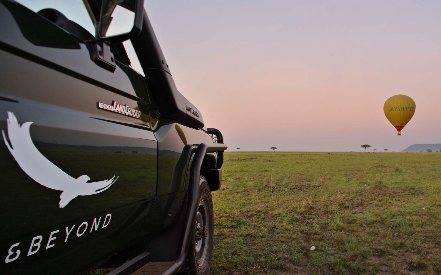 PlaceholderImage1302